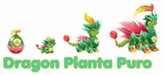 Dragon planta puro