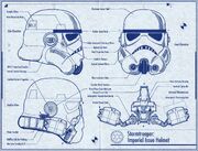 RiddellTKBP