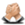 Paginasafiliadasiconportada