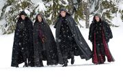 Unamed Volturi