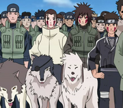 Clã Inuzuka