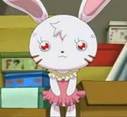 Usapyon