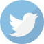 Twitter Logo