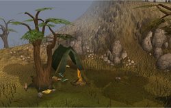 Nickolaus's camp