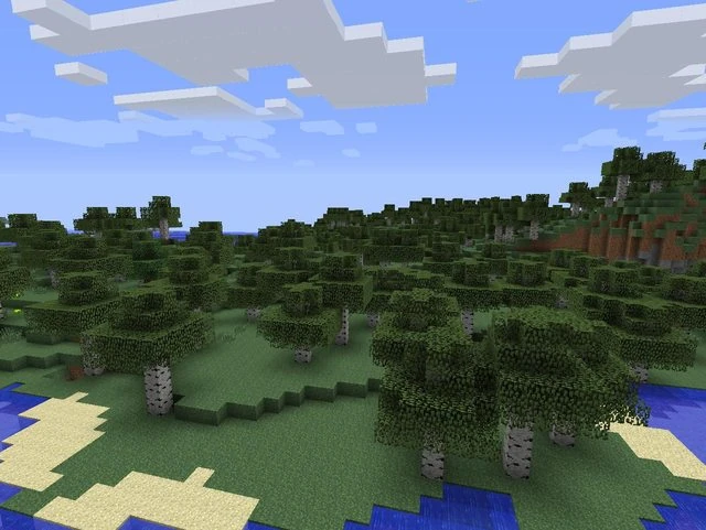 Birch_Forest.jpg