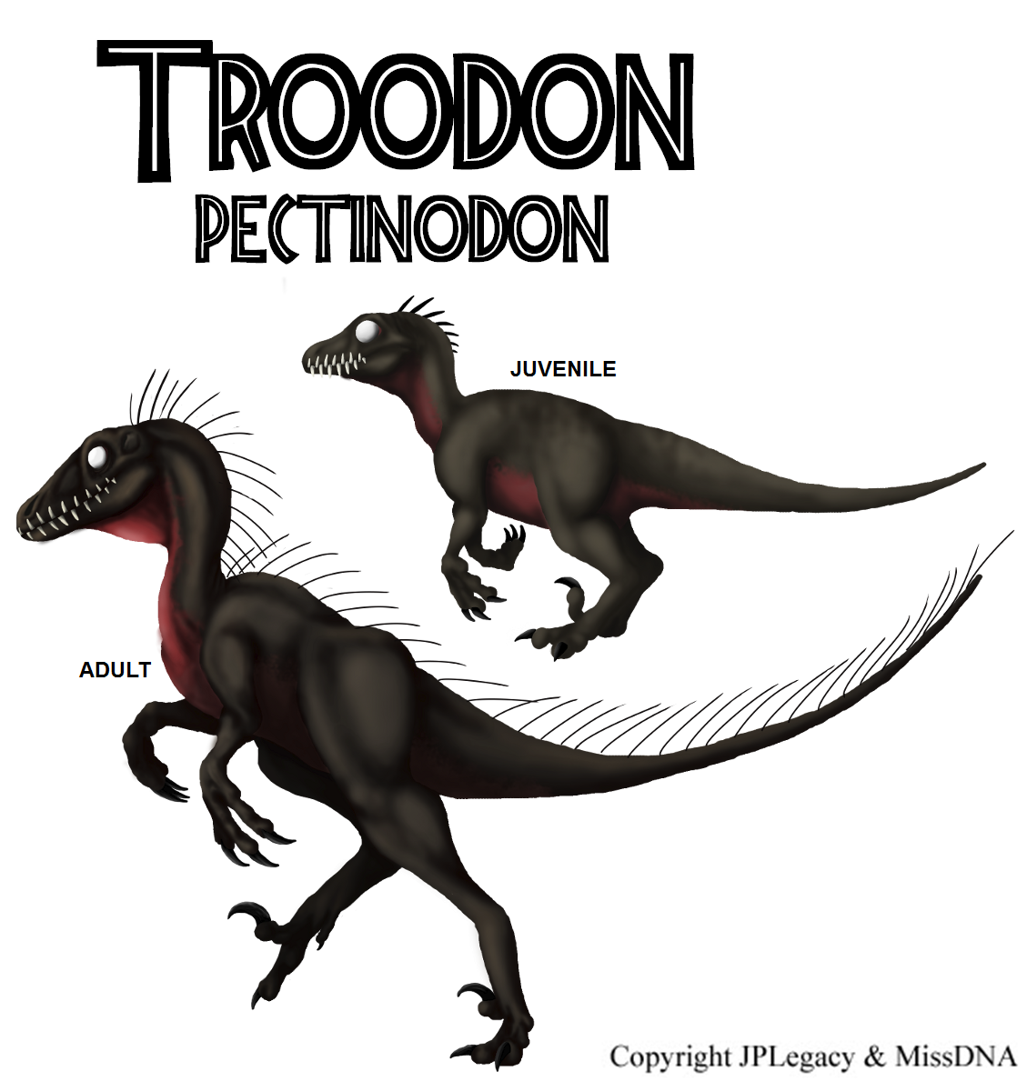 troodon pictures