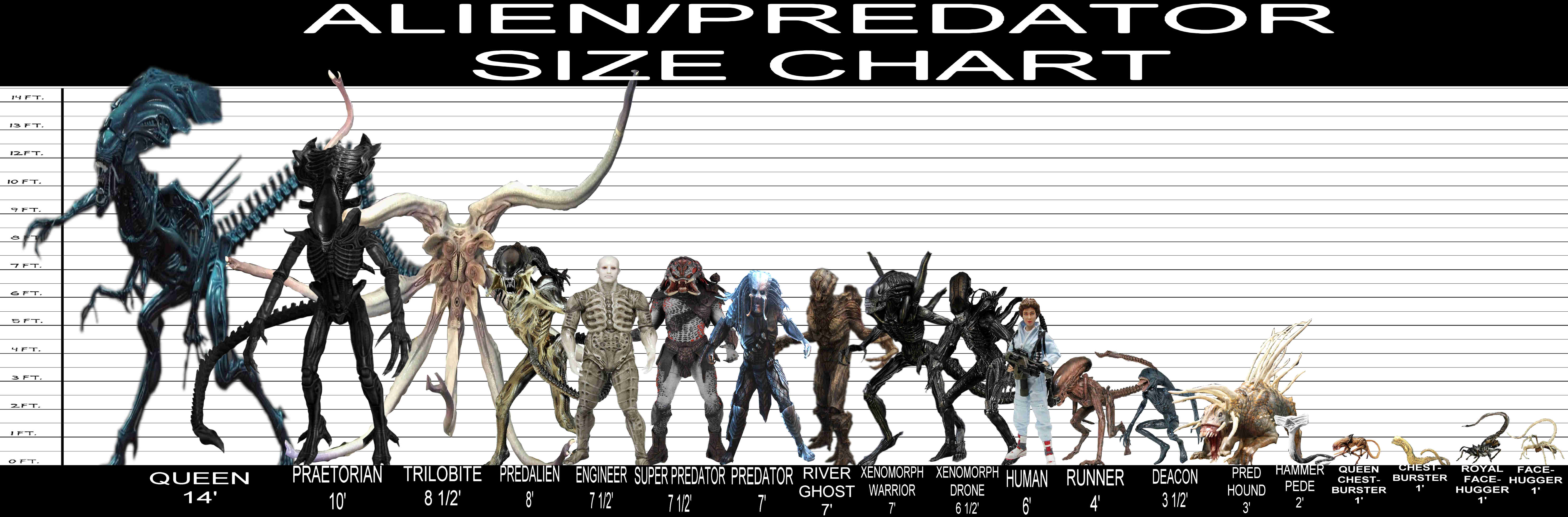 User Blog:MGSolidSnake/Alien/Predator/Other Size Chart - Xenopedia ...