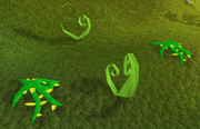 Snake weed location