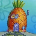 Bob