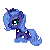 Filly luna