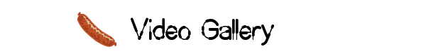 Vidgal