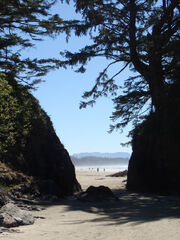 LongBeachIncinRock