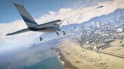 Dodo-GTAV