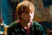 Ron Weasley Young