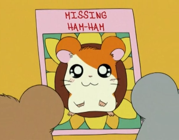 Hamtaro, Please Come Home!  The Hamtaro Wiki