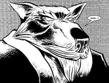 Mirage Comic Splinter