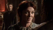 Lord Snow Cat with Petyr