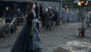 Winter is Coming Cat raven news
