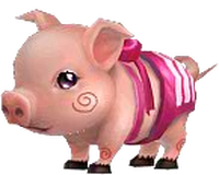 Piggy