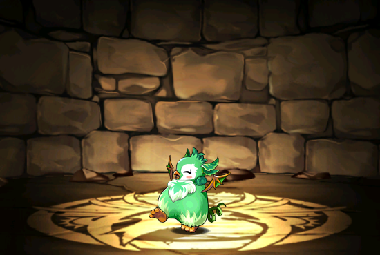 Pet307