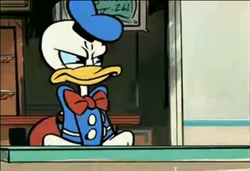 Donald 2013
