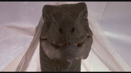 JP1 VelociraptorCurtain