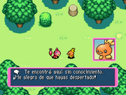 MM1 Primer encuentro