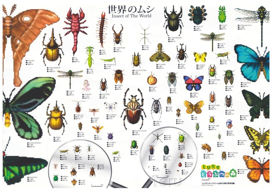 bug-animal-crossing-wiki