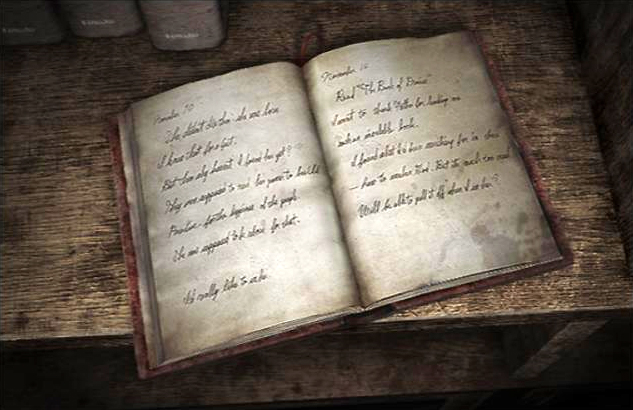 Claudia Wolf Diary.jpg