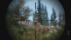 Hunting-GTAV-Deer-sniper