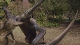 NW1x1 Pteranodon 44
