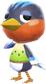 95px-Robin_NewLeaf_Official.png