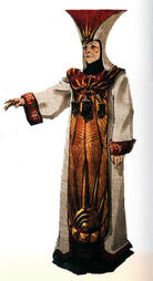 Divine vestments