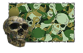 Roger_Paint.png