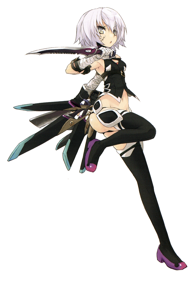 Forum Image: http://static2.wikia.nocookie.net/__cb20130824114140/typemoon/images/c/c8/Assassin_of_black.png