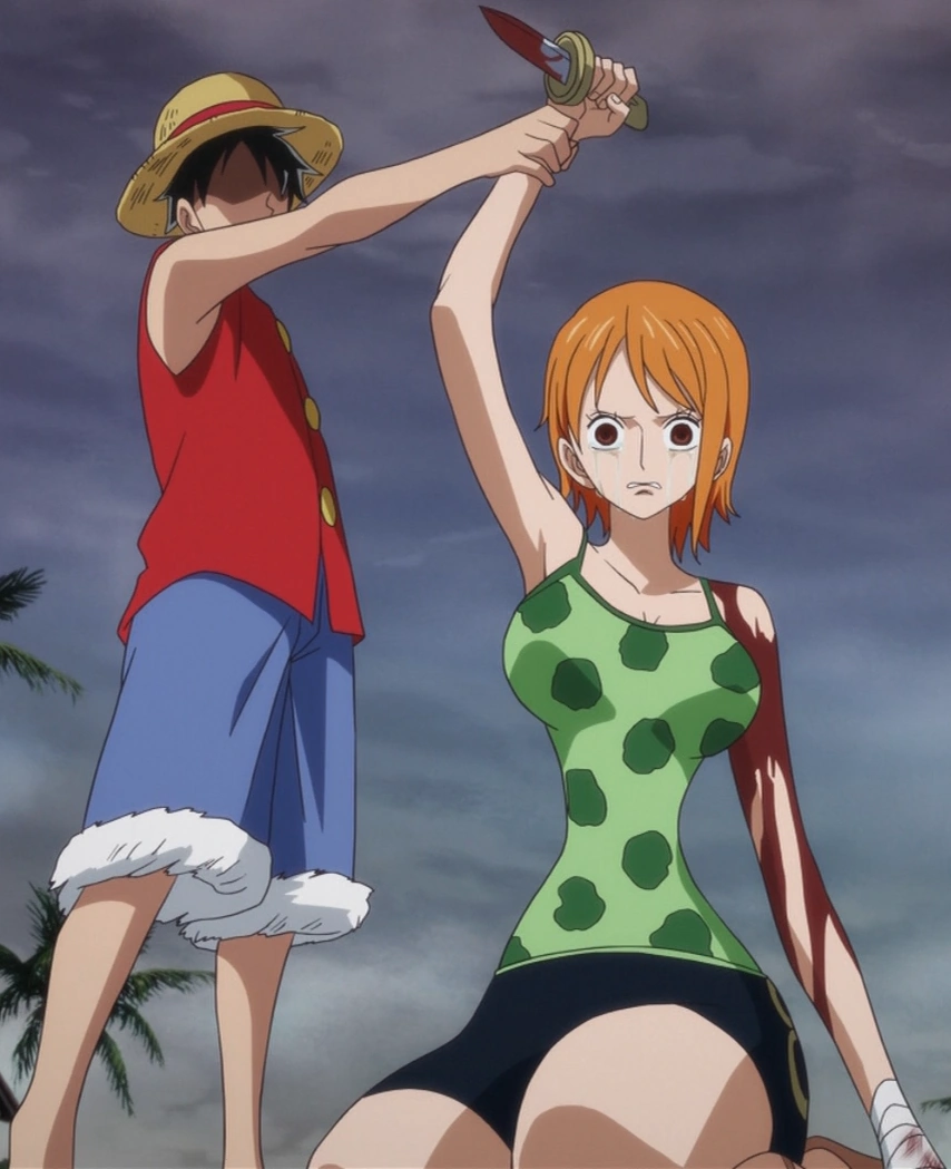 Nami/History The One Piece Wiki Manga, Anime, Pirates, Marines