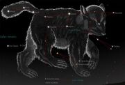 Ursa major