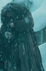 HagridDoorSleigh