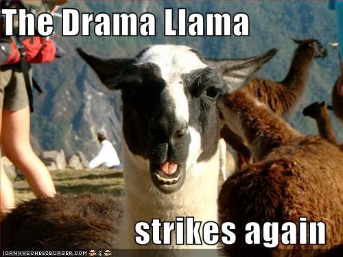 [Image: The_drama_llama.jpg]