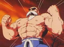 Roshi-Musculoso (2)