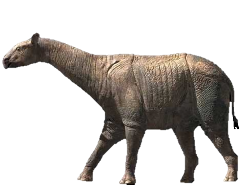 Paraceratherium - Dinopedia - the free dinosaur encyclopedia Paraceratherium - Dinopedia - the free dinosaur encyclopedia