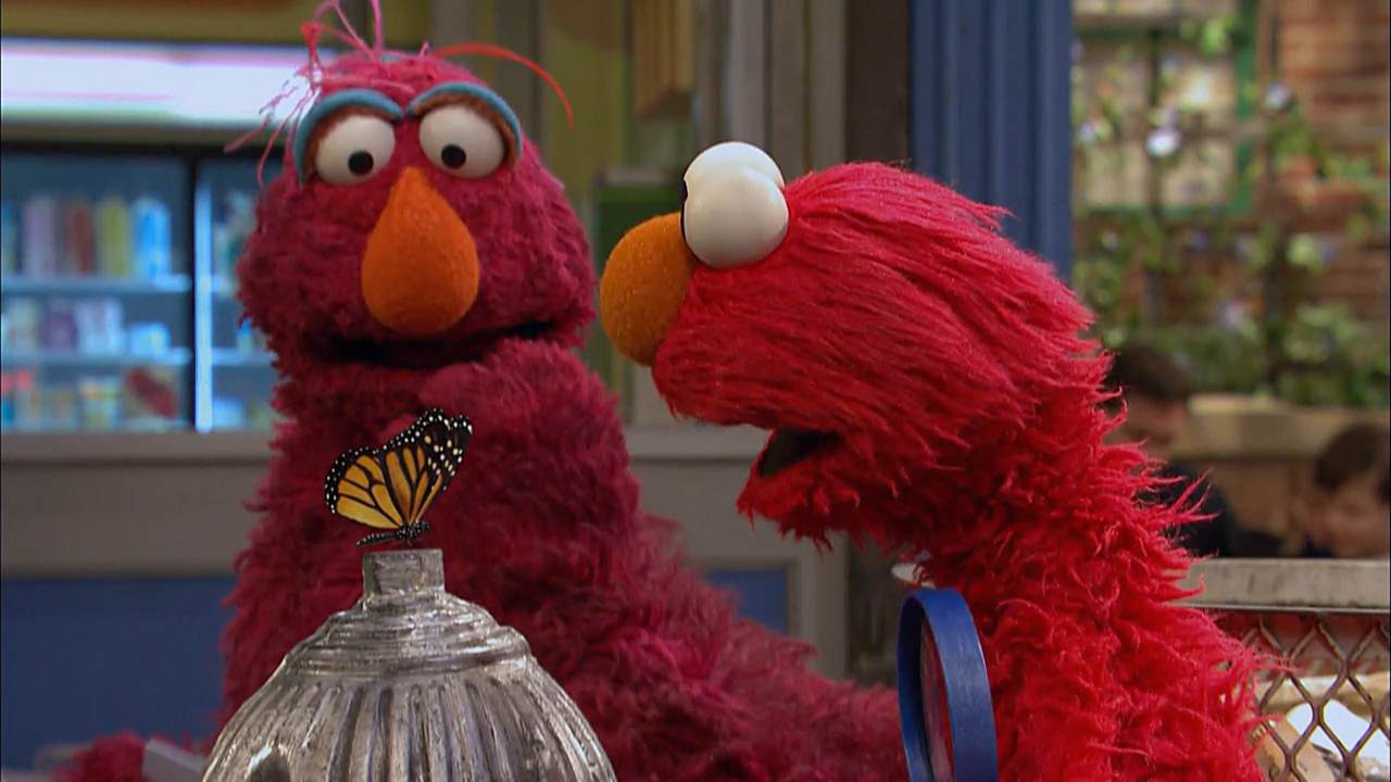 Episode 4268 Muppet Wiki