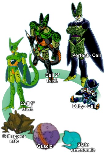 Transformaciones de cell