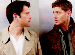 Tumblr mds138lf7c1qd1240o11 r5 250
