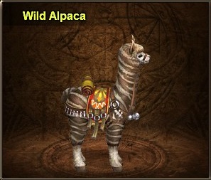 Wild alpaca - divosaga