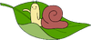 Snail S2E5-tr