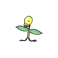 Bellsprout_XY.png