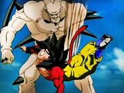 Images (54)