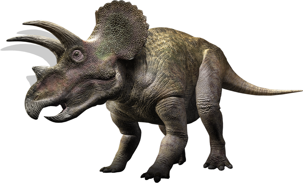 one horned triceratops