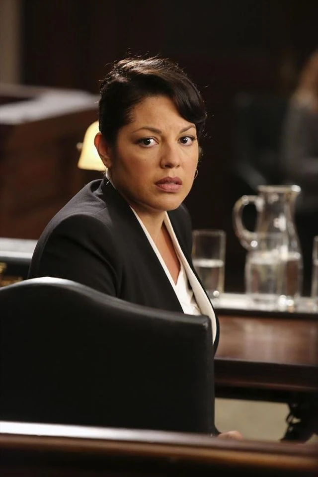 Callie Torres Grey's Anatomy and Private Practice Wiki